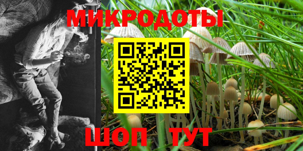 Псилоцибиновые грибы Cubensis  Вход с VPN  Губкин  Галлюциногенные грибы GOLDEN TEACHER 
